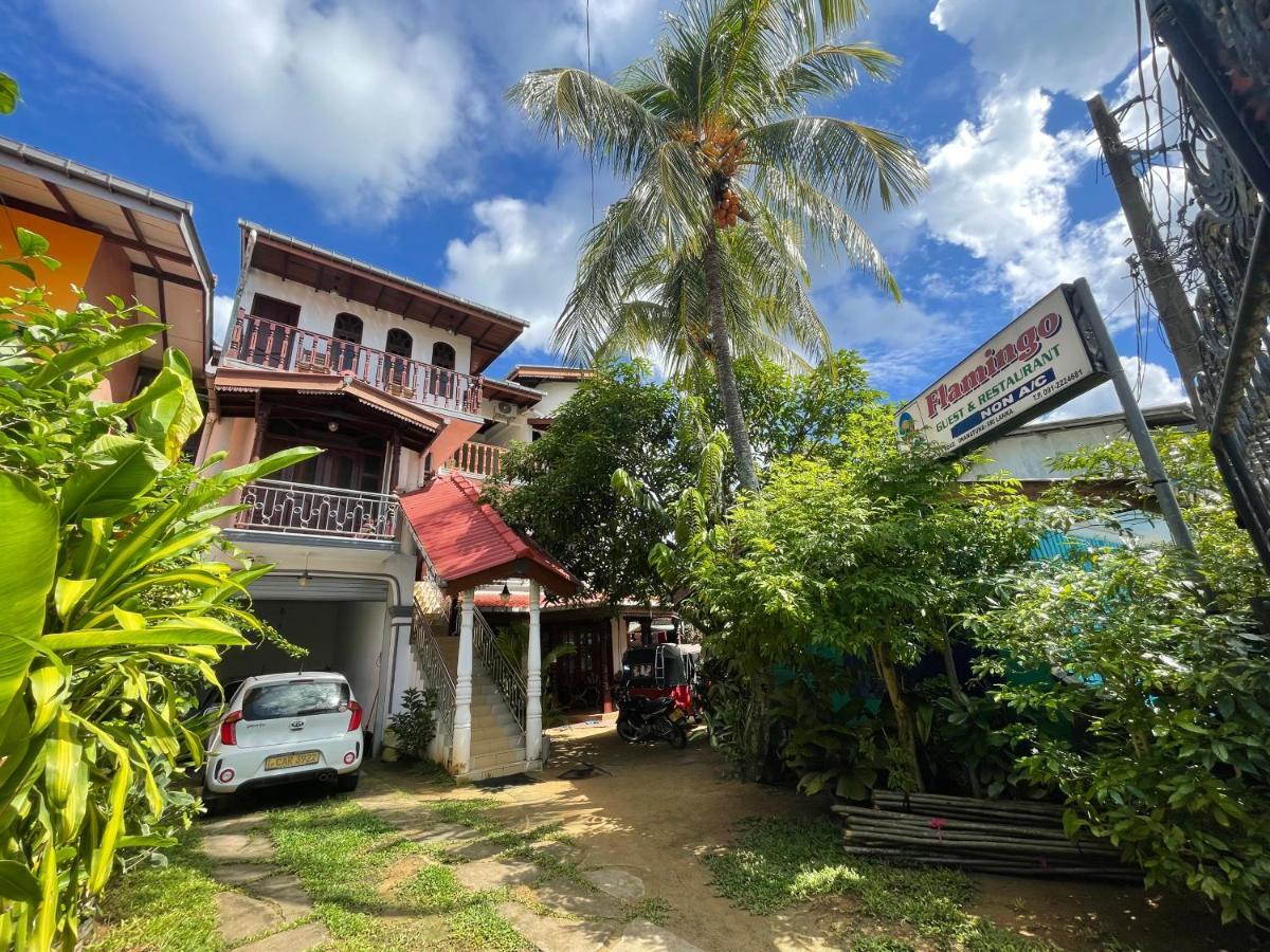 Flamingo Guest House Unawatuna Exteriör bild